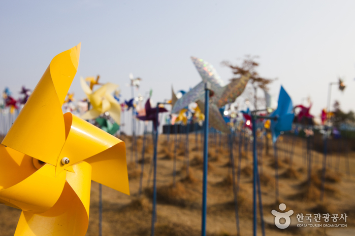 경의선 타고 평양여행을 꿈꾸다