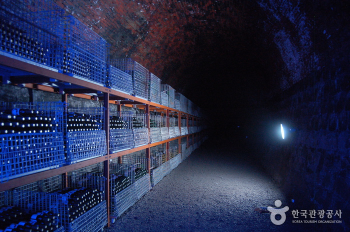 반시로 만든 청도만의 와인 터널로 초대합니다 반시로 만든 청도만의 와인 터널로 초대합니다