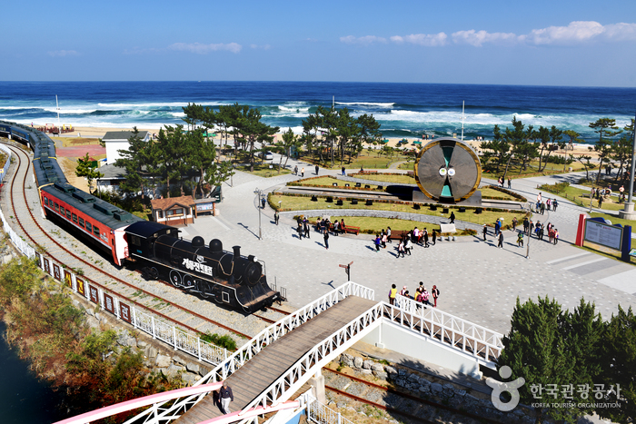 새해, 첫 일출은 정동진에서 새해, 첫 일출은 정동진에서