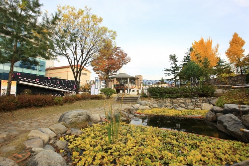 자연이고 예술이고 가는 곳마다 힐링 버스! 자연이고 예술이고 가는 곳마다 힐링 버스!
