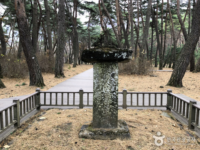 단종대왕 유배길