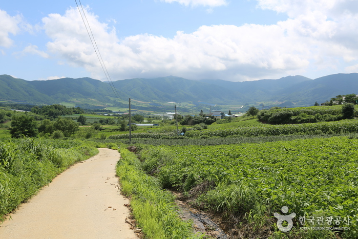자연 속에서 더 깊게 다가오는 역사