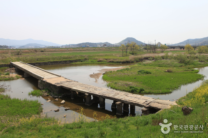 함평 바다에서 즐기는 특별한 체험