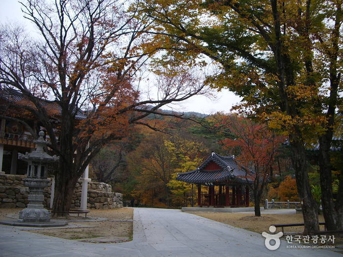 [대구올레 팔공산 7코스] 폭포골 가는 길