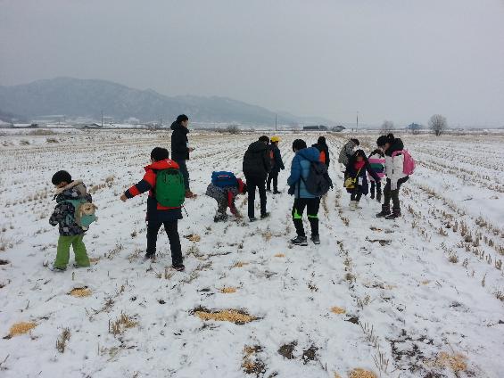 철원, 평화롭게 ‘두루미 자는 버들골’