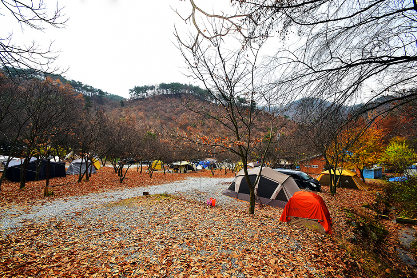 달숲캠핑장