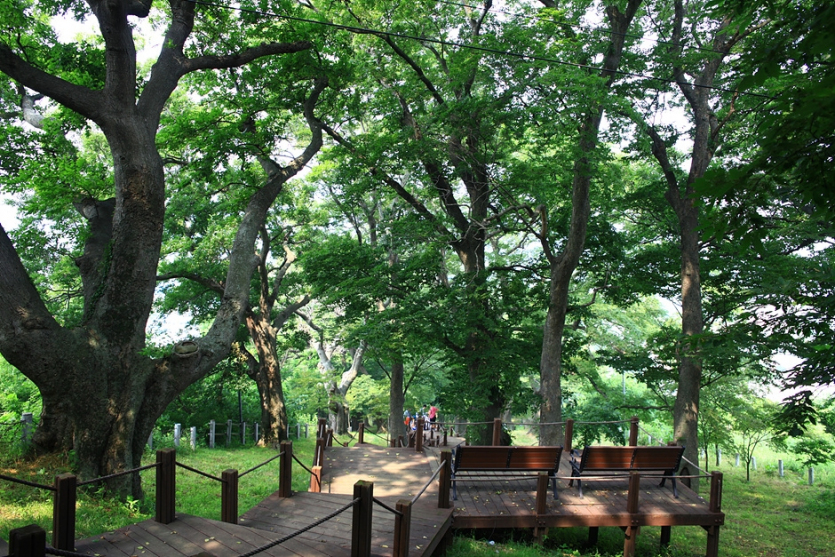 고즈넉한 영광을 둘러볼 수 있는 1박2일 여행 코스