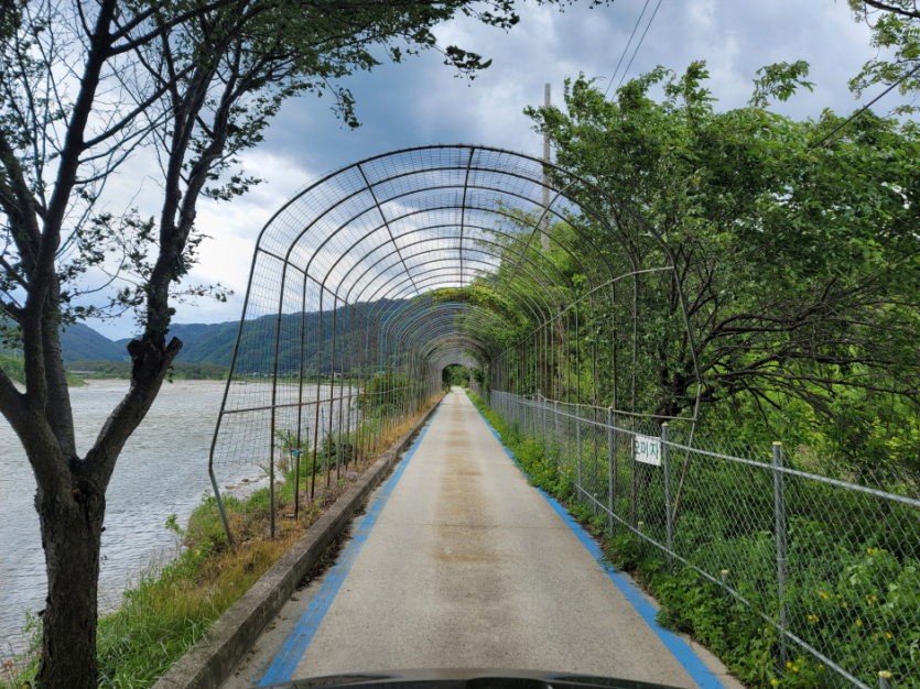 강원평화누리길 15코스 인제 북면길