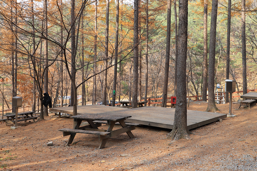 국립용화산자연휴양림