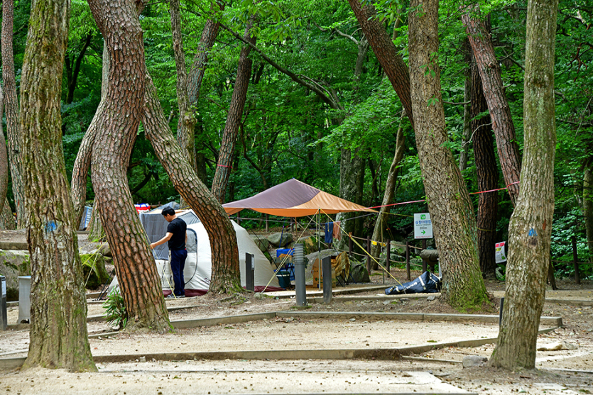 가야산국립공원 치인자동차야영장