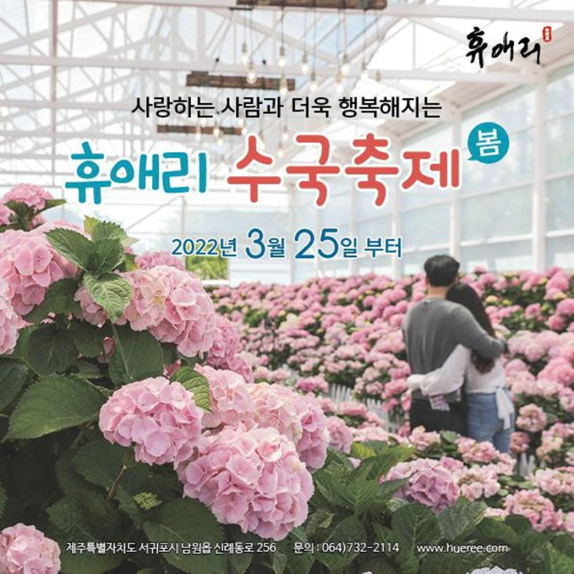 휴애리 봄 수국축제