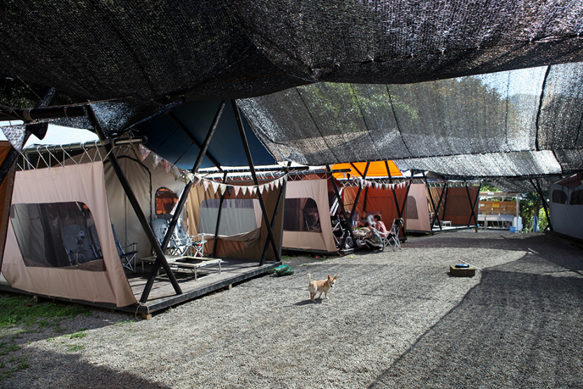 글램핑코리아 애견캠핑장