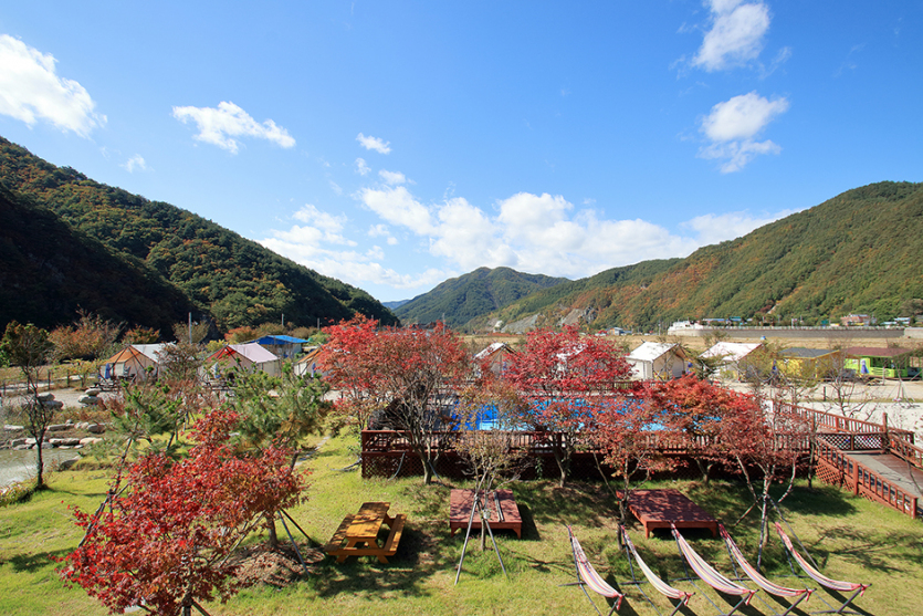 내설악글램핑파크