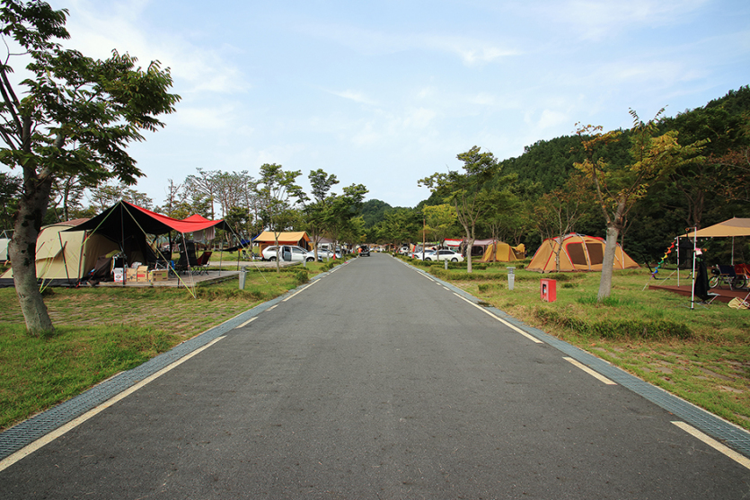 금산인삼골오토캠핑장