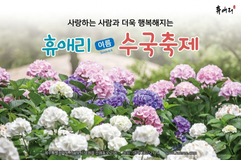 휴애리 여름 수국축제