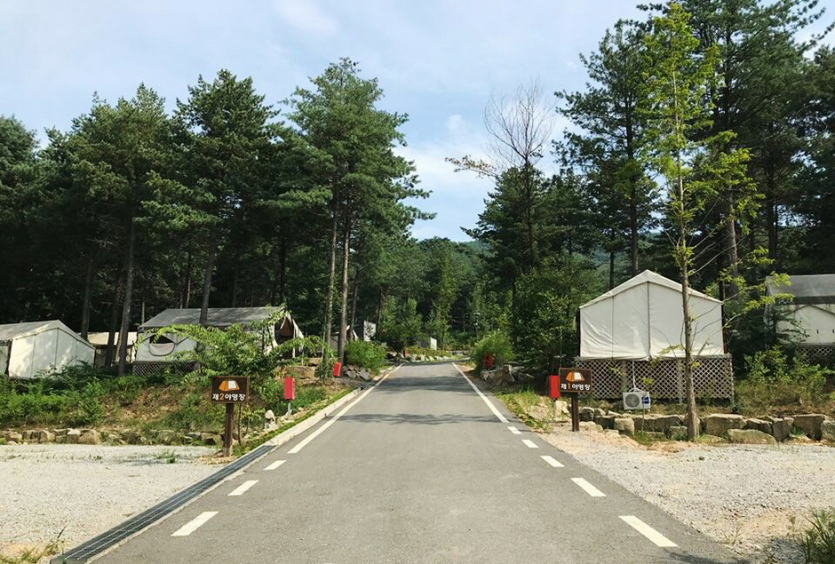 다목적광장 야영장