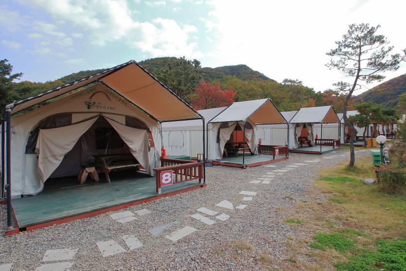 경주별빛마루글램핑장과펜션