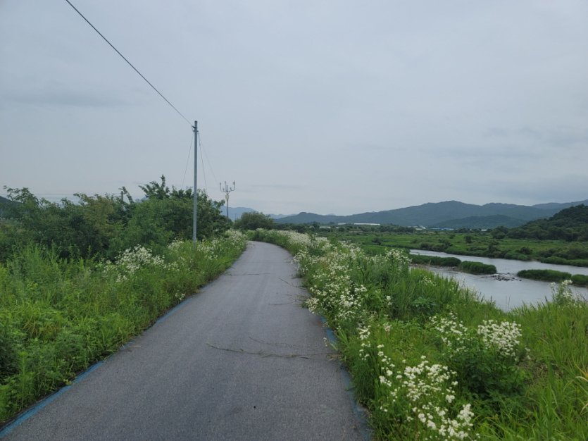 강원평화누리길 2코스 철원 두루미 머무는길