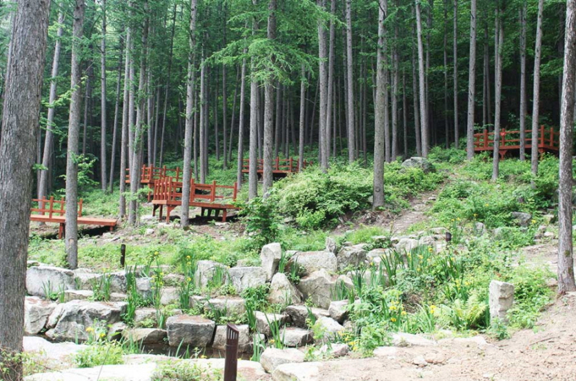 거창국민여가캠핑장