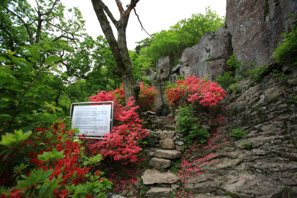 금오산 마애보살입상