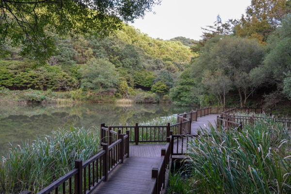 계족산 황톳길