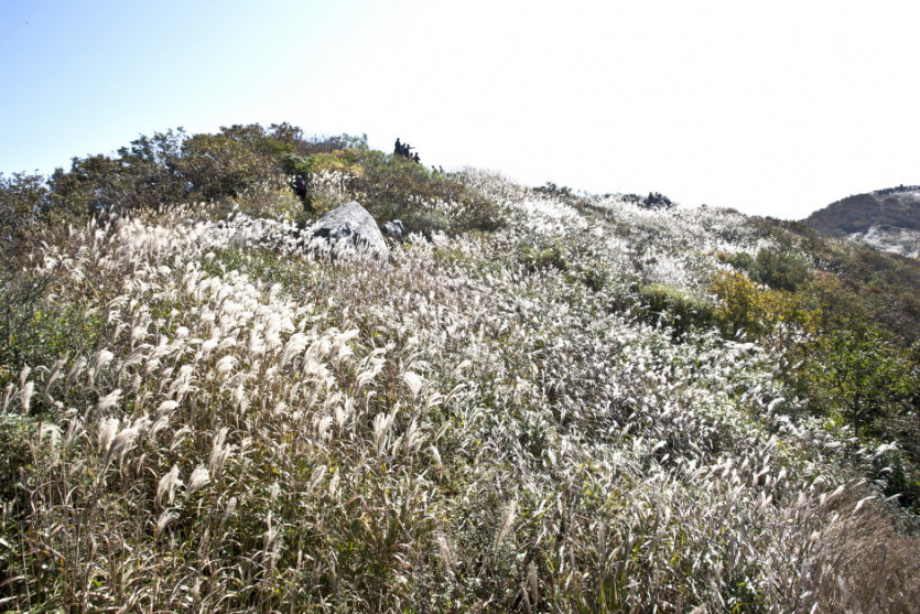 Горы Ососан (오서산)