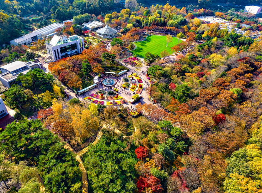 Arboreto de Daegu (대구수목원)