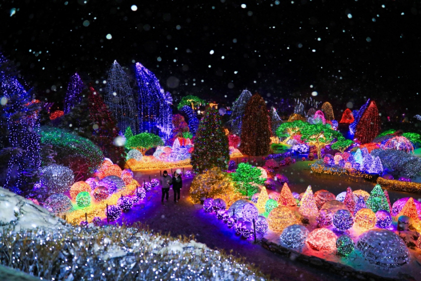 Festival de Luces del Arboreto Achimgoyo (오색별빛정원전)