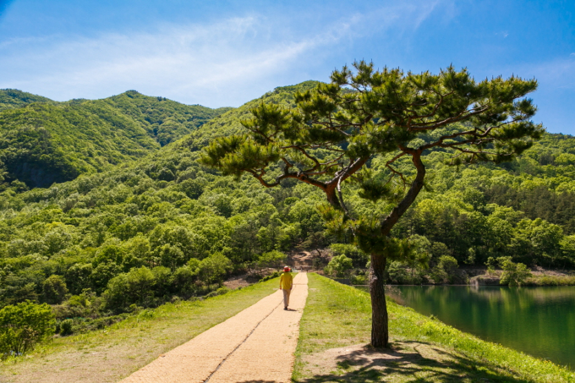 Embalse Oseongje (오성제 저수지)